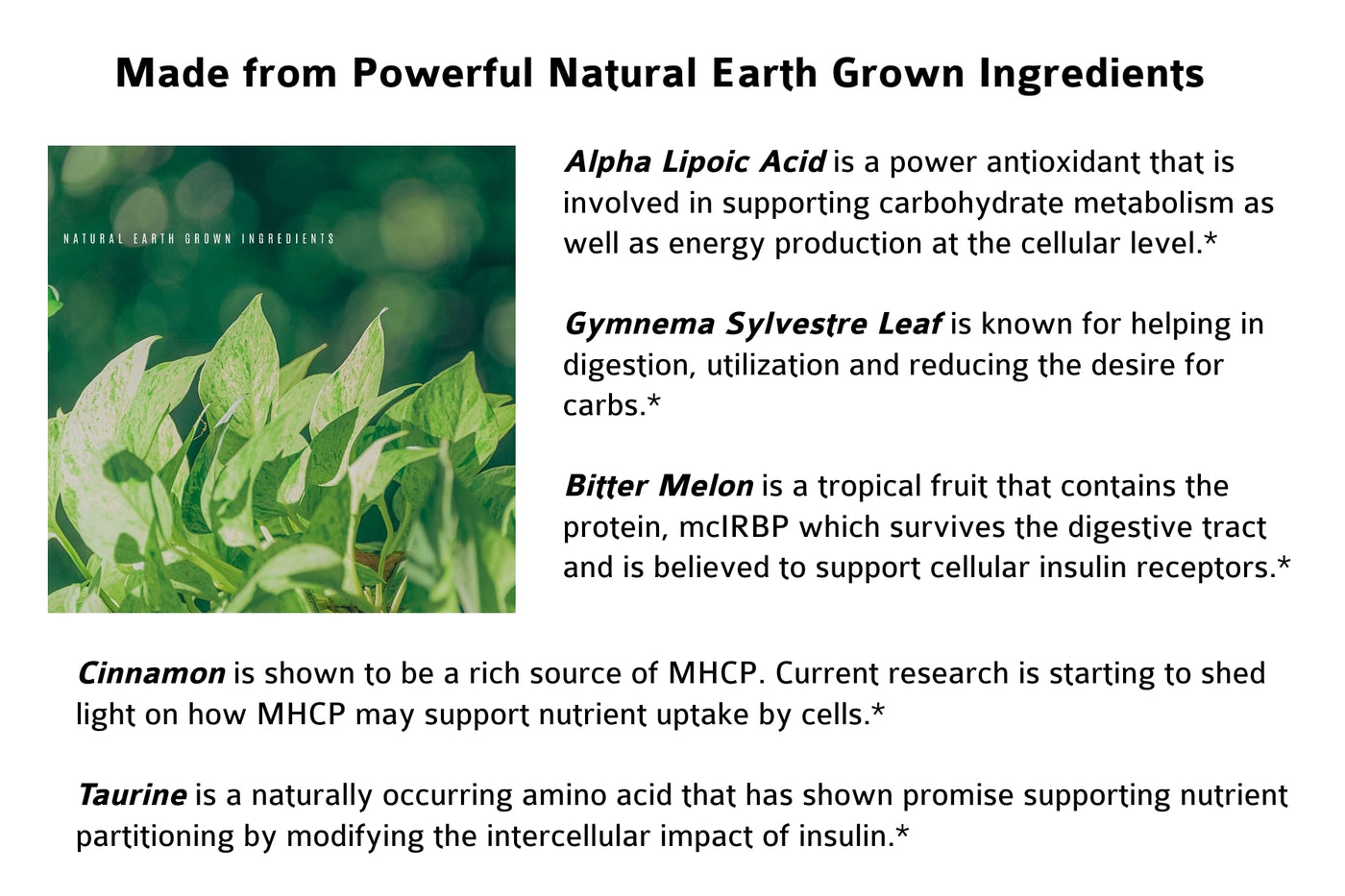 Taurine is a naturally occurring amino acid that has shown promise supporting nutrient partitioning by modifying the intercellular impact of insulin. Taurine has been linked to supporting proper muscular function in athletes.*