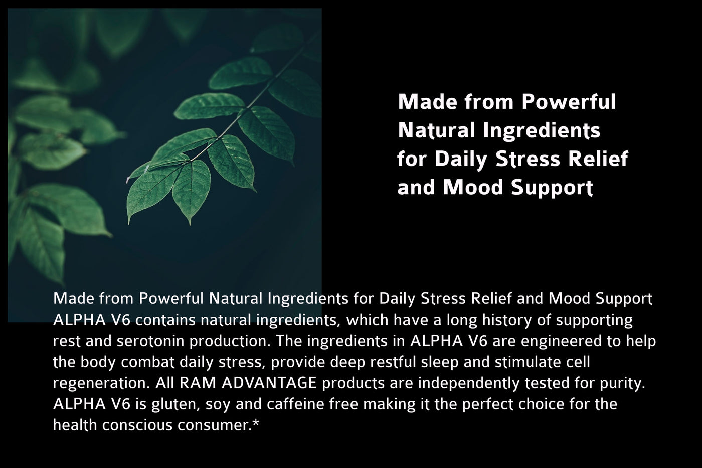 PROMOTE NATURAL STRESS RELIEF – Optimized with 600 mg of ashwagandha per serving, a strong adaptogen that’s been used for thousands of years to help reduce stress, increase energy and improve mental capacity. * 
