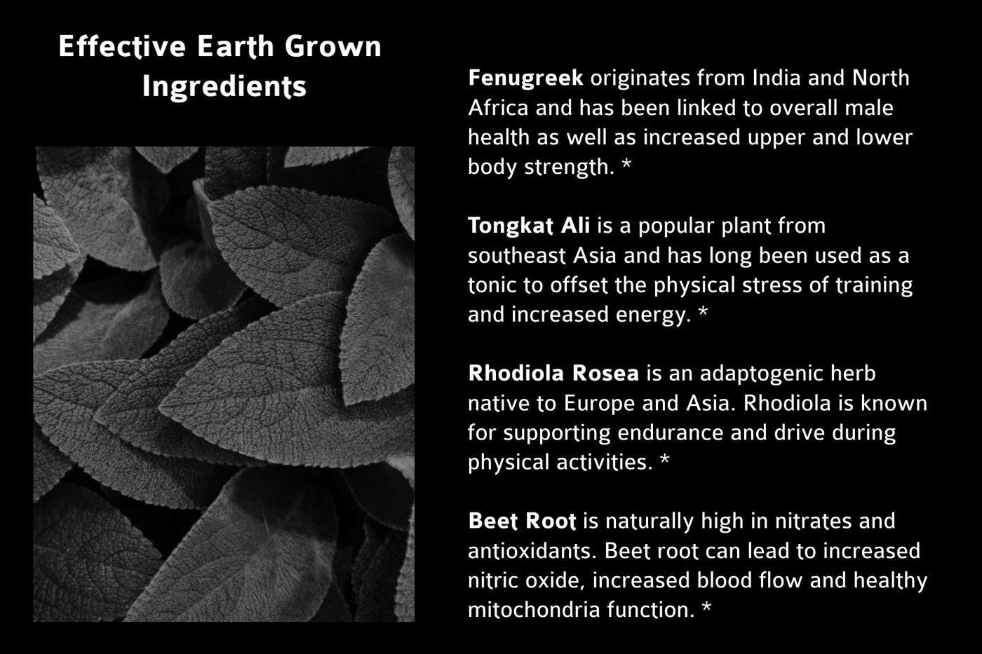 Fenugreek originates from India and North Africa and has been linked to overall male health as well as increased upper and lower body strength.