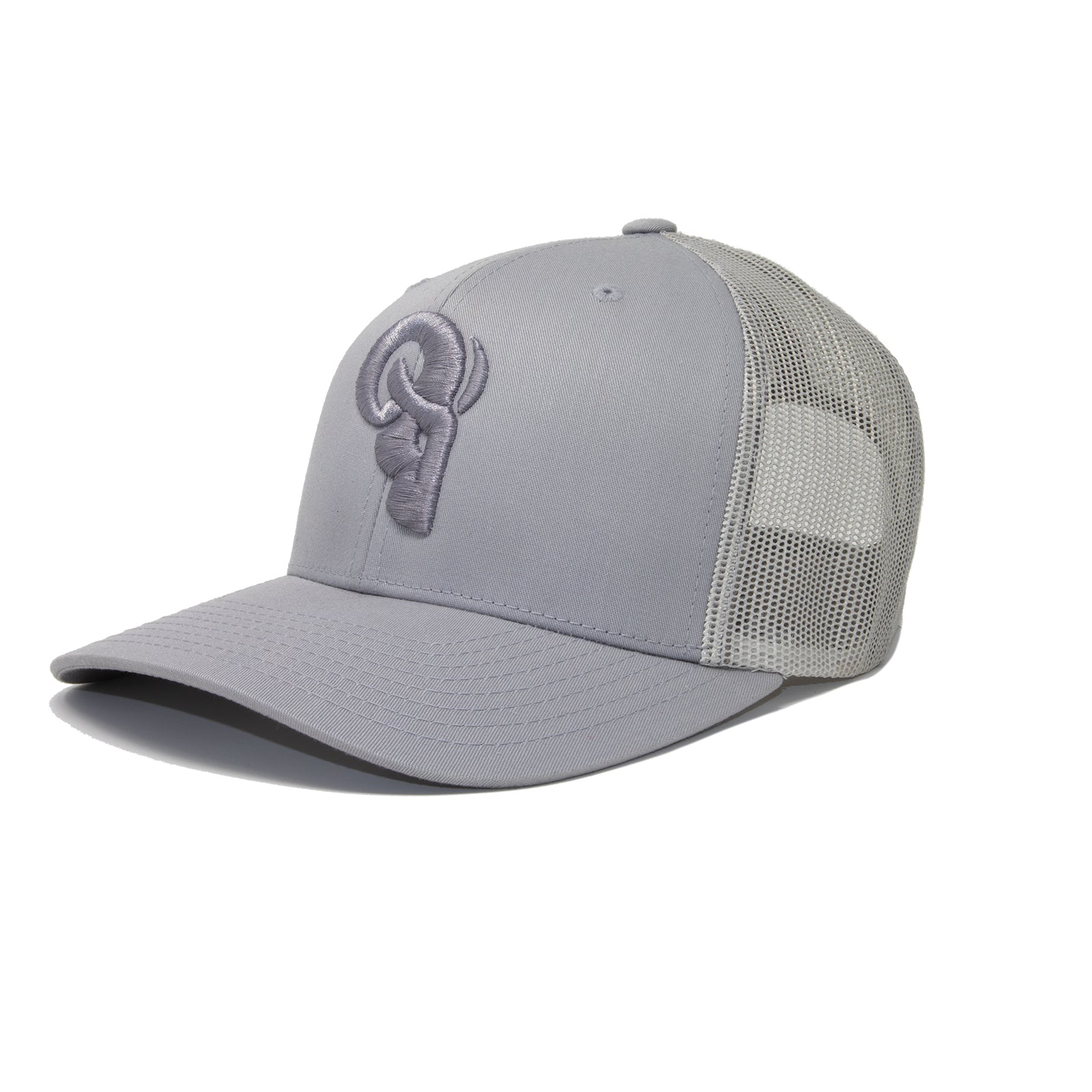 Platinum Trucker / Snapback