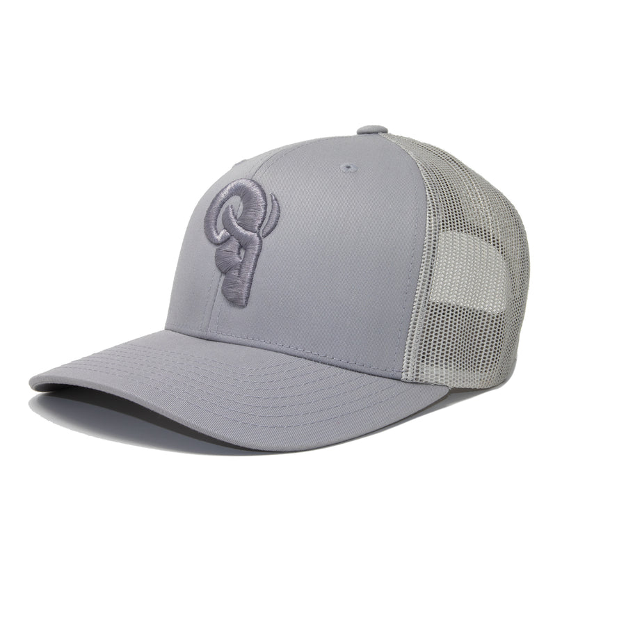 Platinum Trucker / Snapback